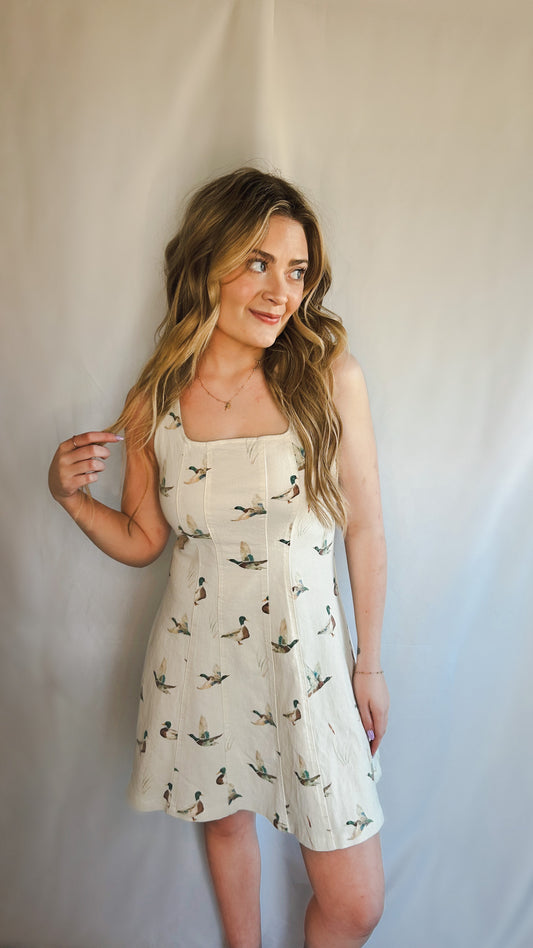 Chesapeake Meadow Fit & Flare Dress