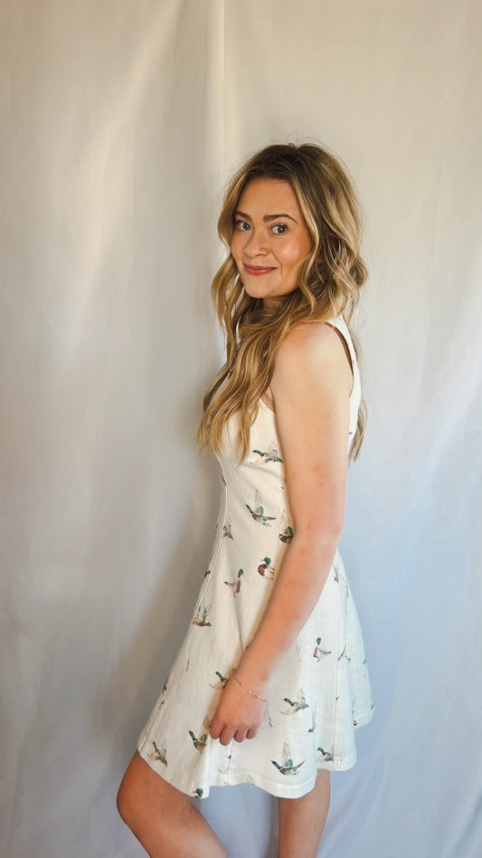 Chesapeake Meadow Fit & Flare Dress